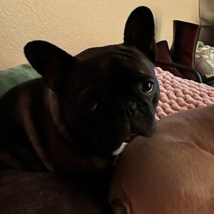 Meet your Posher, Catelynn